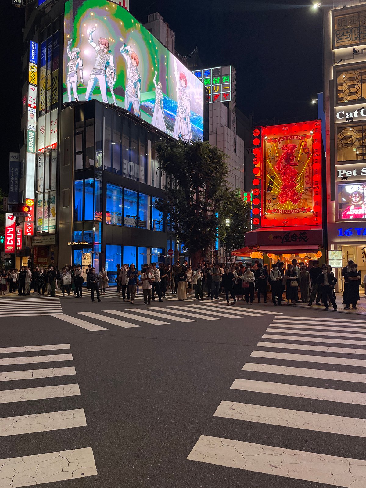 Tokyo Shinjuku crossroad